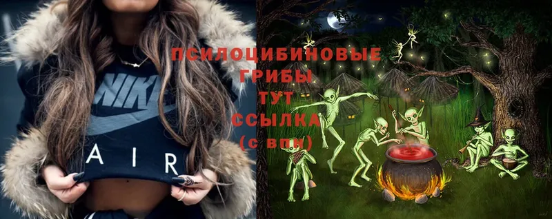 Псилоцибиновые грибы Psilocybe  Трубчевск 